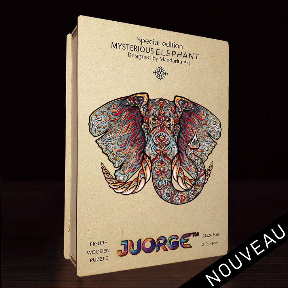 Puzzle ENIGMA Juorge